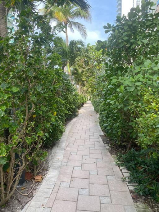Beachwalk 1B-1B Apmt Amazing View 12A Hallandale Beach Exteriör bild